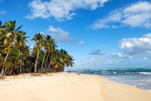 caribbean-beach-with-palm-trees-blue-sky